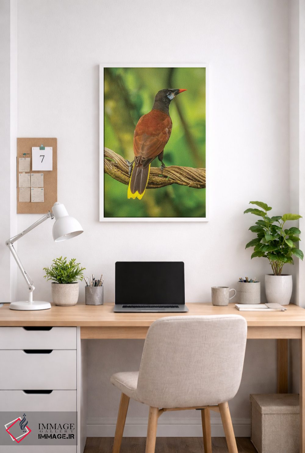 تابلو دکوراتیو Sarapiqui River Valley. Montezuma Oropendola Bird On Vine.,ک… اثر جینز گالری - D3W