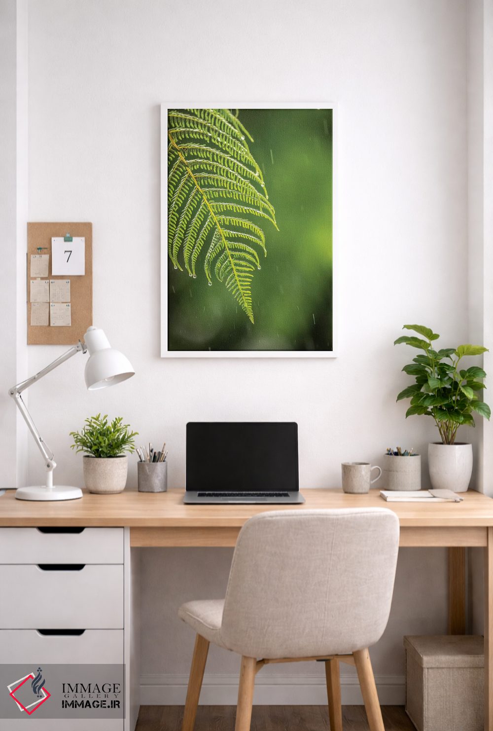 تابلو دکوراتیو Sarapique River Valley. Fern In Rain.,کاستاریکا، دره رود سرپ… اثر جینز گالری - D3W
