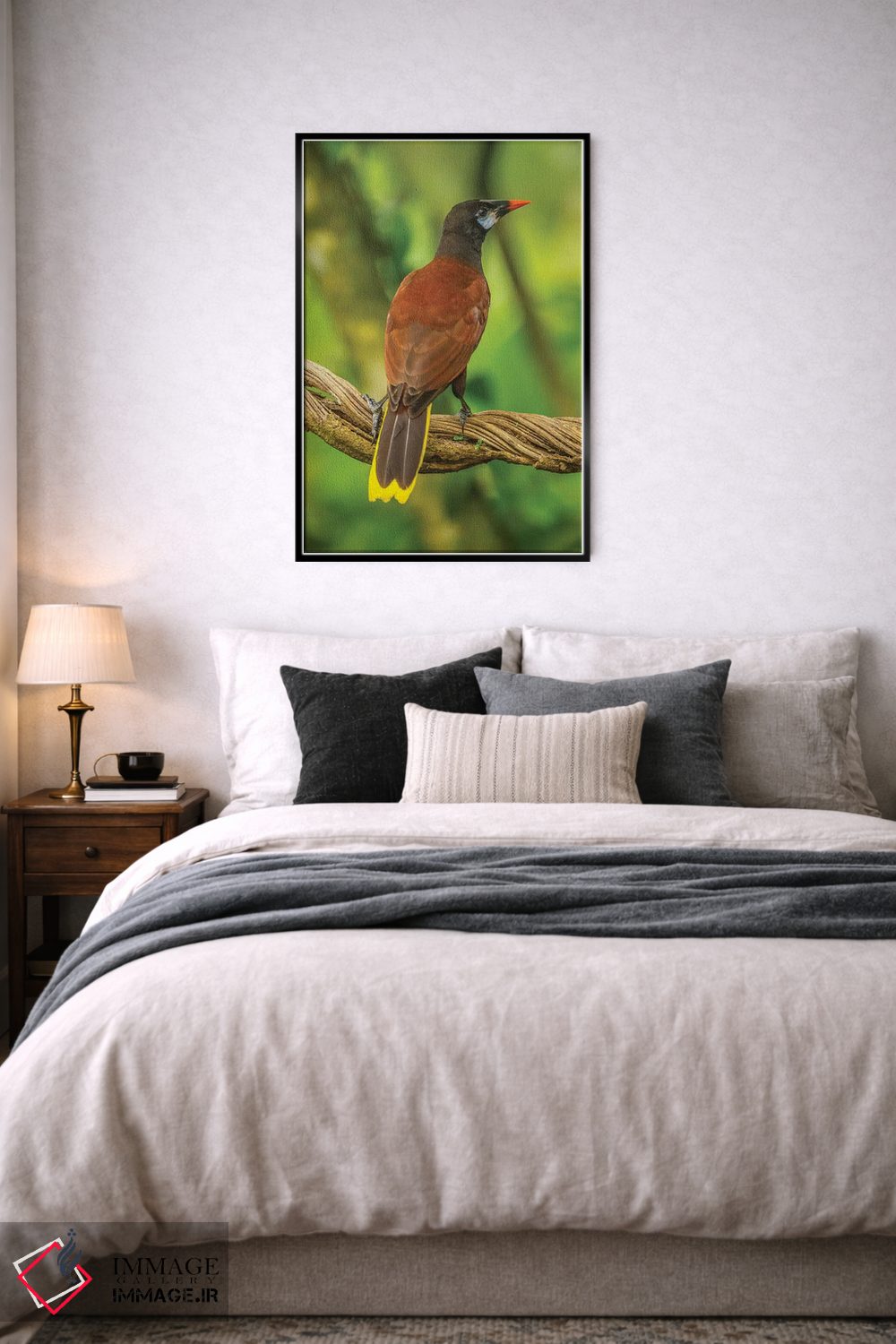 تابلو دکوراتیو Sarapiqui River Valley. Montezuma Oropendola Bird On Vine.,ک… اثر جینز گالری - D6B