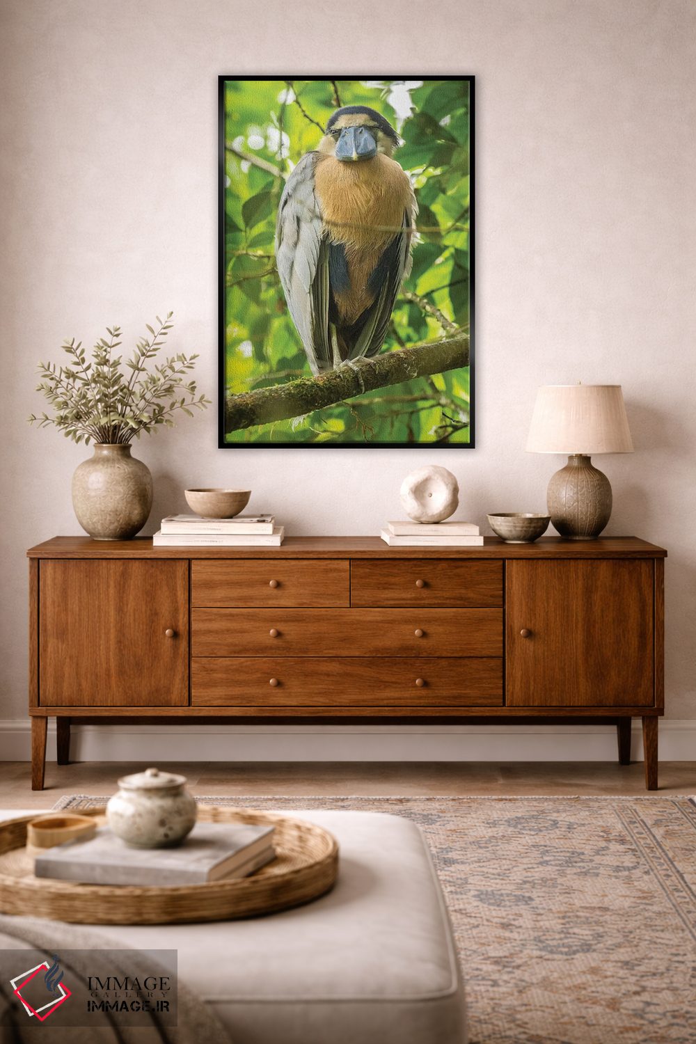 تابلو دکوراتیو کاستاریکا. نمای نزدیک مرغ ماهی خوار نوک قایقی اثر جینز گالری - D3B