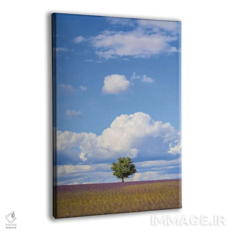 تابلو دکوراتیو Provence, Valensole Plateau. Field Of Lavender And Tree.,فرا… اثر جینز گالری - نمای پرسپکتیو محصول