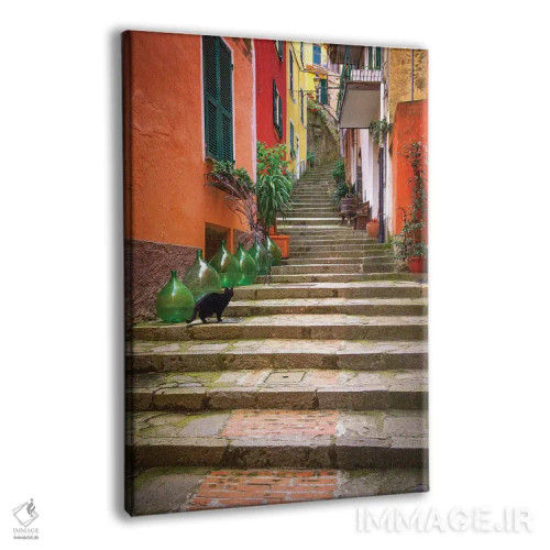 تابلو دکوراتیو Italy, Monterosso. Cat On Long Stairway.,اروپا، ایتالیا، مون… اثر جینز گالری - نمای پرسپکتیو محصول