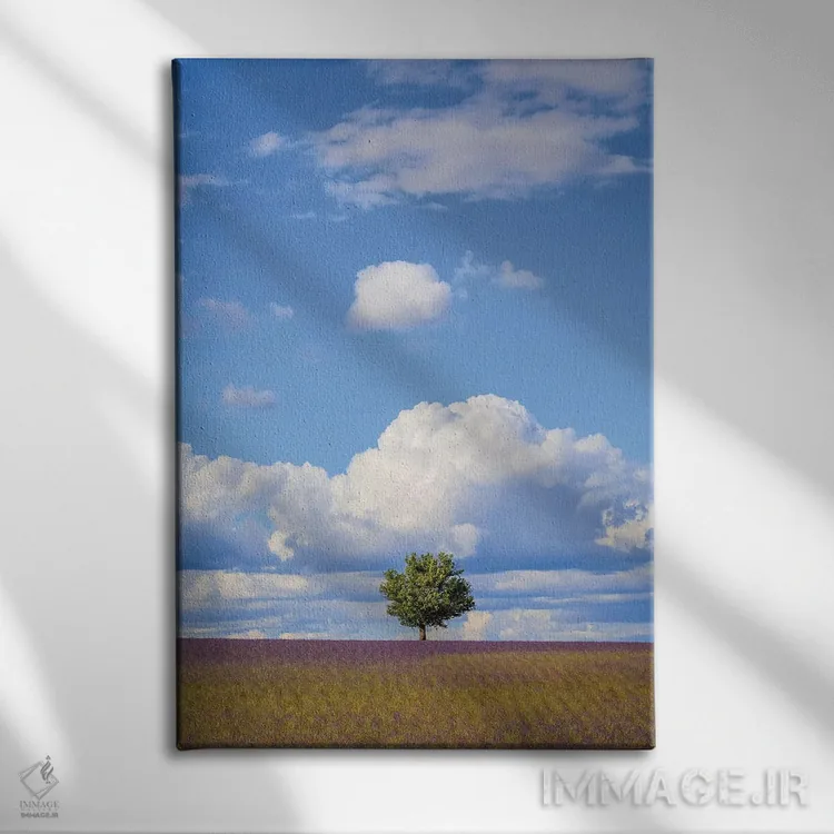 تابلو دکوراتیو Provence, Valensole Plateau. Field Of Lavender And Tree.,فرا… اثر جینز گالری - نمای روبهرو روی دیوار