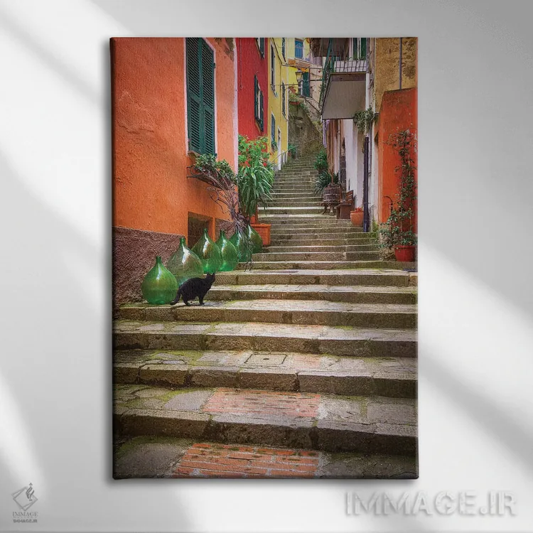 تابلو دکوراتیو Italy, Monterosso. Cat On Long Stairway.,اروپا، ایتالیا، مون… اثر جینز گالری - نمای روبهرو روی دیوار