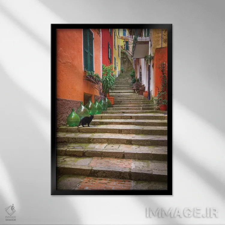 تابلو دکوراتیو Italy, Monterosso. Cat On Long Stairway.,اروپا، ایتالیا، مون… اثر جینز گالری - نمای قابدار مشکی