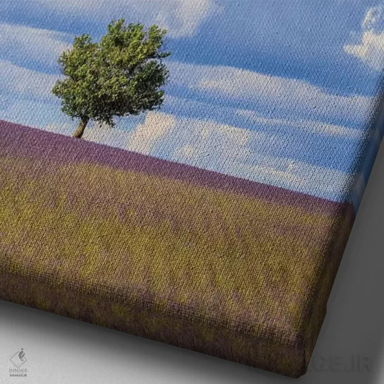 تابلو دکوراتیو Provence, Valensole Plateau. Field Of Lavender And Tree.,فرا… اثر جینز گالری - نمای نزدیک بافت بوم