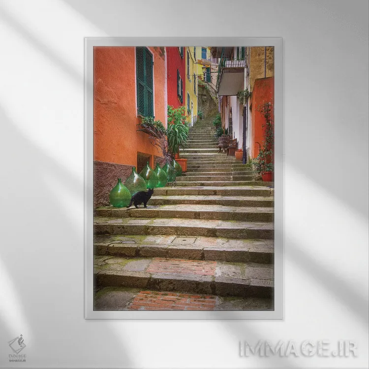 تابلو دکوراتیو Italy, Monterosso. Cat On Long Stairway.,اروپا، ایتالیا، مون… اثر جینز گالری - نمای قابدار سفید