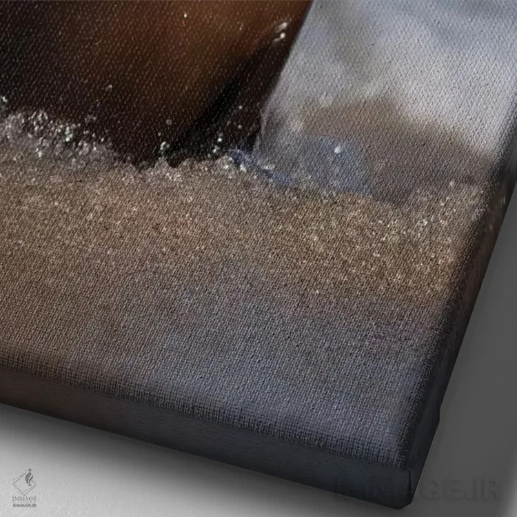 تابلو دکوراتیو California, La Jolla. Young sea lion in beach water.,آمریکا… اثر جینز گالری - نمای نزدیک بافت بوم