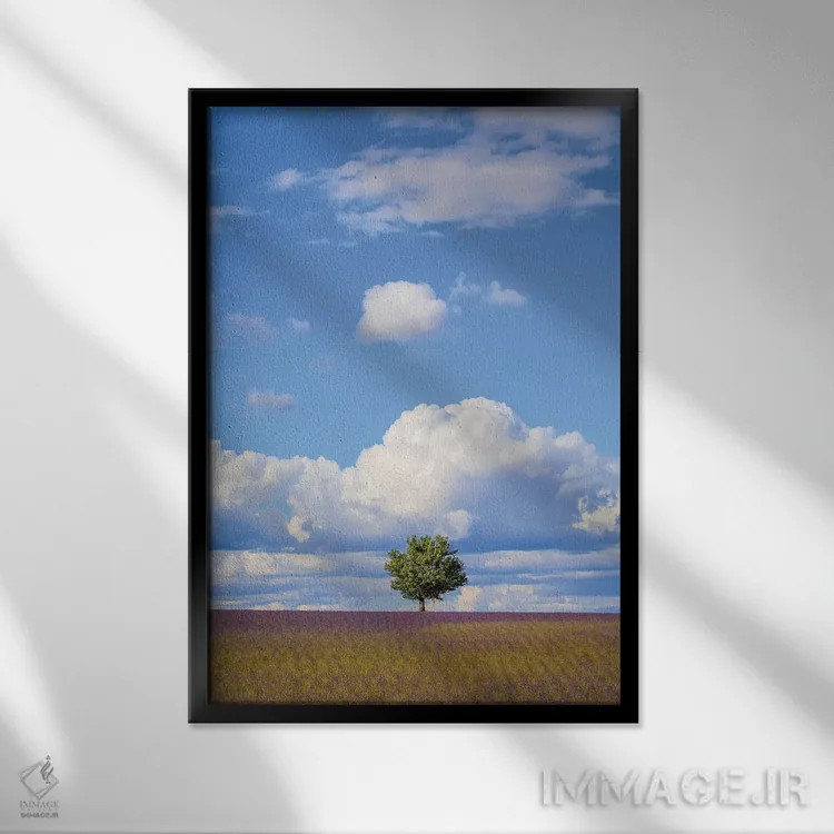 تابلو دکوراتیو Provence, Valensole Plateau. Field Of Lavender And Tree.,فرا… اثر جینز گالری - نمای قابدار مشکی