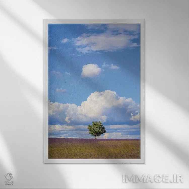 تابلو دکوراتیو Provence, Valensole Plateau. Field Of Lavender And Tree.,فرا… اثر جینز گالری - نمای قابدار سفید