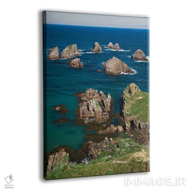 تابلو دکوراتیو South Island. Ocean View From Nugget Point.,نیوزیلند، جزیره… اثر جینز گالری - نمای پرسپکتیو محصول