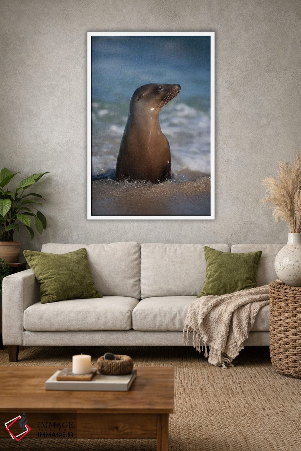 تابلو دکوراتیو California, La Jolla. Young sea lion in beach water.,آمریکا… اثر جینز گالری - D1W
