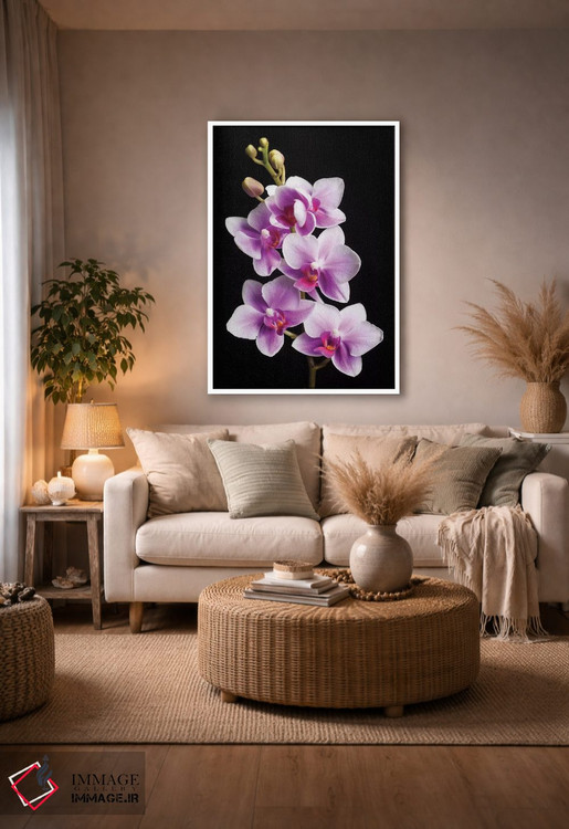 تابلو دکوراتیو California, Los Osos of orchids.,آمریکا، کالیفرنیا، لس اوسوس… اثر جینز گالری - D4W