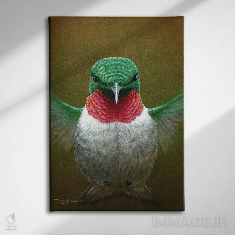 تابلو دکوراتیو مرغ مگس خوار اثر جرمی پاول - نمای روبهرو روی دیوار