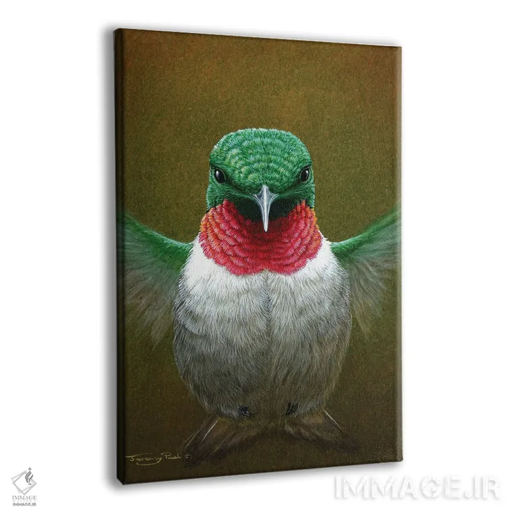 تابلو دکوراتیو مرغ مگس خوار اثر جرمی پاول - نمای پرسپکتیو محصول