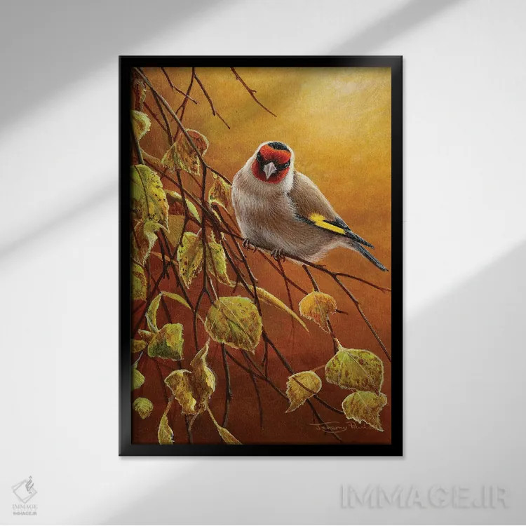 تابلو دکوراتیو فنچ طلایی اثر جرمی پاول - نمای قابدار مشکی