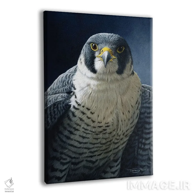 تابلو دکوراتیو شاهین تیزپر اثر جرمی پاول - نمای پرسپکتیو محصول