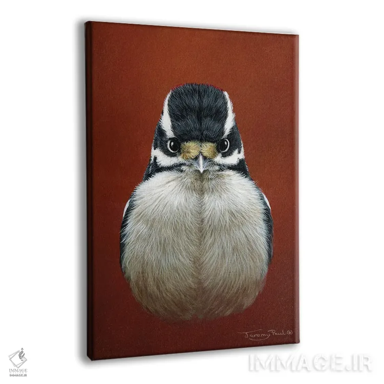 تابلو دکوراتیو دارکوب کرک دار اثر جرمی پاول - نمای پرسپکتیو محصول