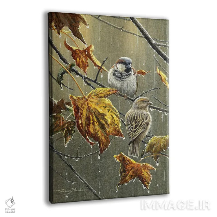 تابلو دکوراتیو گنجشک ها در باران اثر جرمی پاول - نمای پرسپکتیو محصول