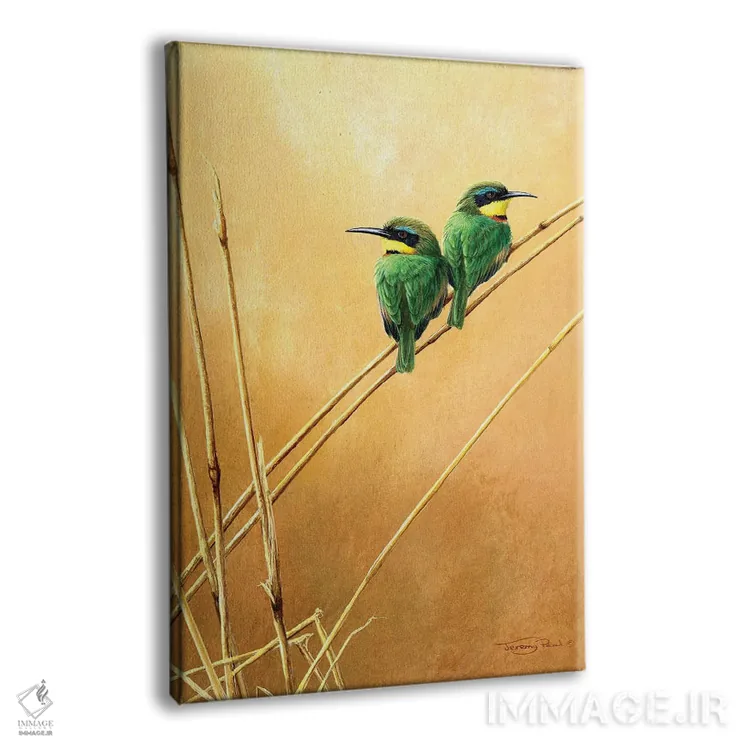 تابلو دکوراتیو زنبورخوار کوچک اثر جرمی پاول - نمای پرسپکتیو محصول