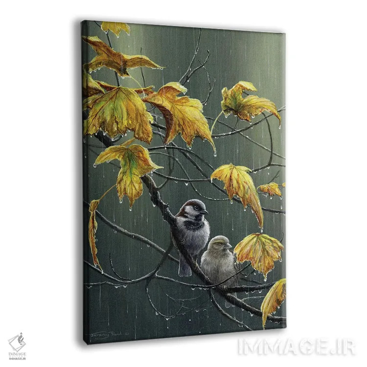 تابلو دکوراتیو قطرات باران اثر جرمی پاول - نمای پرسپکتیو محصول