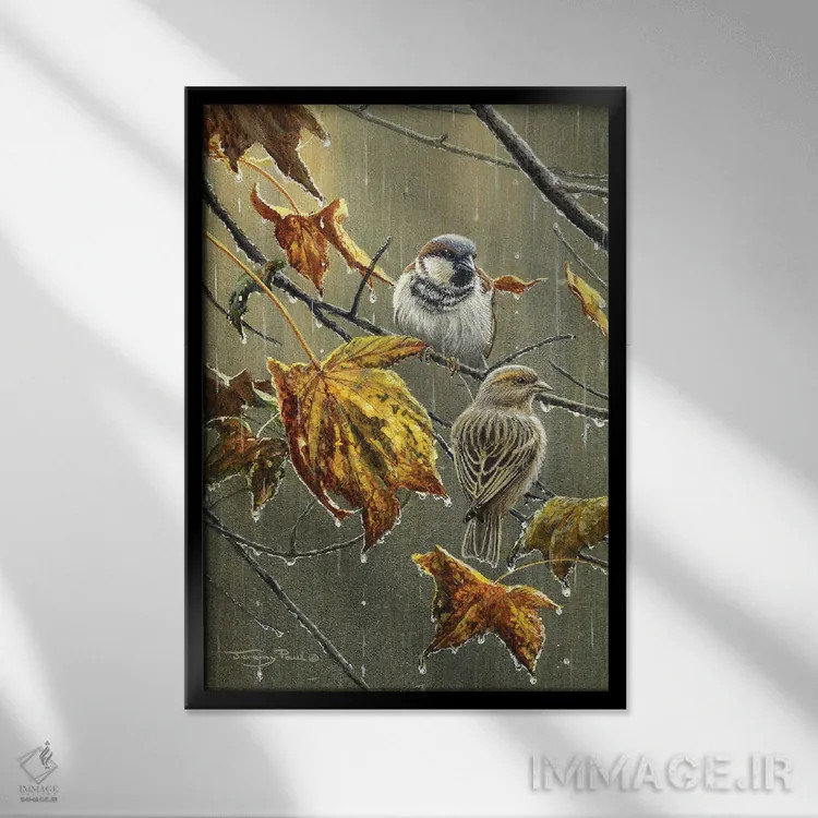 تابلو دکوراتیو گنجشک ها در باران اثر جرمی پاول - نمای قابدار مشکی