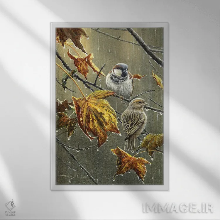تابلو دکوراتیو گنجشک ها در باران اثر جرمی پاول - نمای قابدار سفید