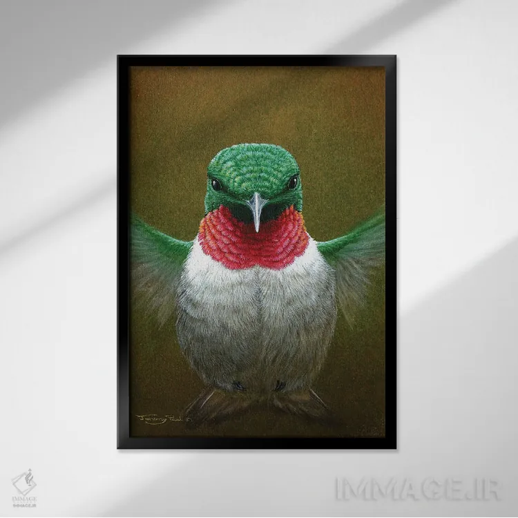 تابلو دکوراتیو مرغ مگس خوار اثر جرمی پاول - نمای قابدار مشکی