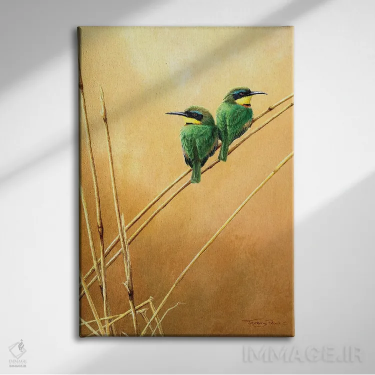 تابلو دکوراتیو زنبورخوار کوچک اثر جرمی پاول - نمای روبهرو روی دیوار