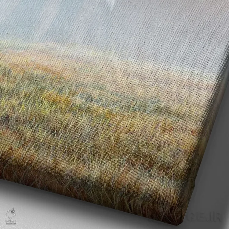 تابلو دکوراتیو شبح در مه اثر جرمی پاول - نمای نزدیک بافت بوم