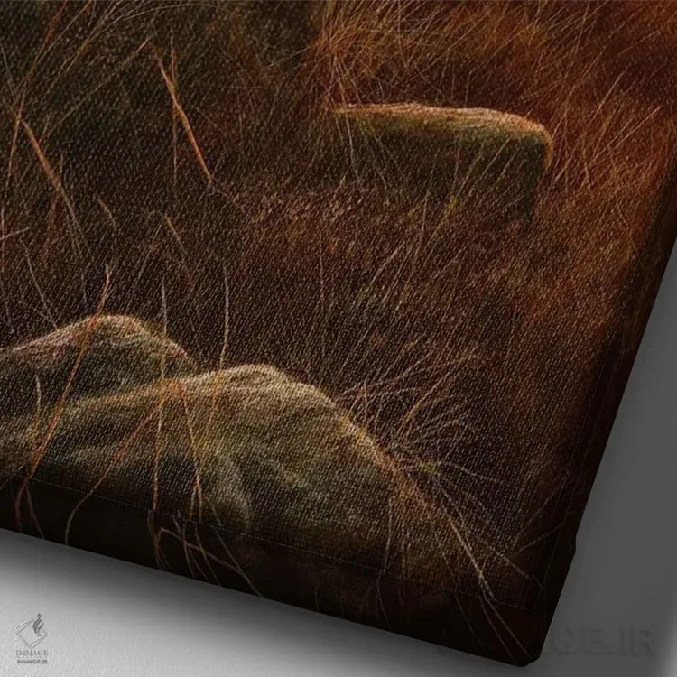 تابلو دکوراتیو نور کوهستان اثر جرمی پاول - نمای نزدیک بافت بوم