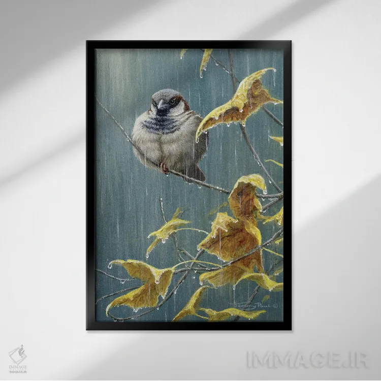 تابلو دکوراتیو باران سنگین اثر جرمی پاول - نمای قابدار مشکی