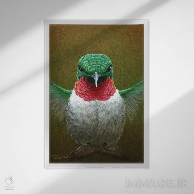 تابلو دکوراتیو مرغ مگس خوار اثر جرمی پاول - نمای قابدار سفید