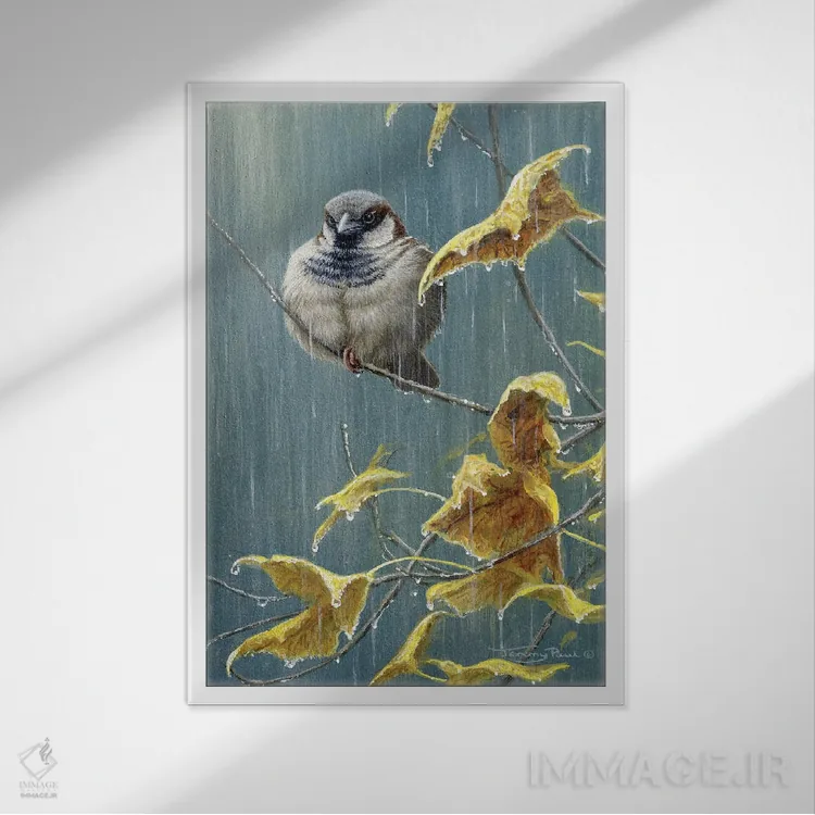 تابلو دکوراتیو باران سنگین اثر جرمی پاول - نمای قابدار سفید