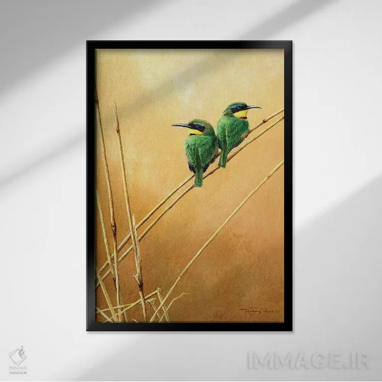 تابلو دکوراتیو زنبورخوار کوچک اثر جرمی پاول - نمای قابدار مشکی