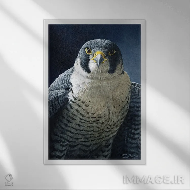 تابلو دکوراتیو شاهین تیزپر اثر جرمی پاول - نمای قابدار سفید