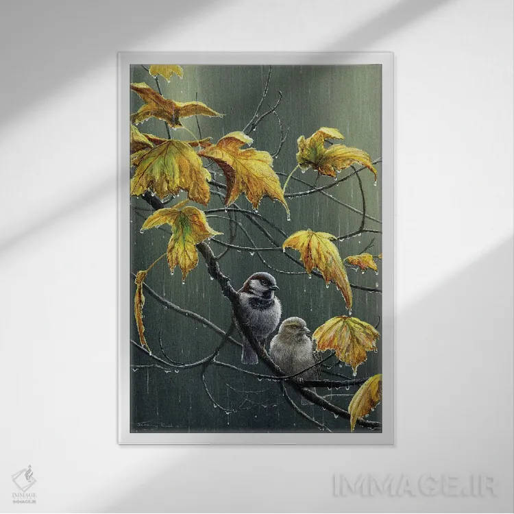 تابلو دکوراتیو قطرات باران اثر جرمی پاول - نمای قابدار سفید