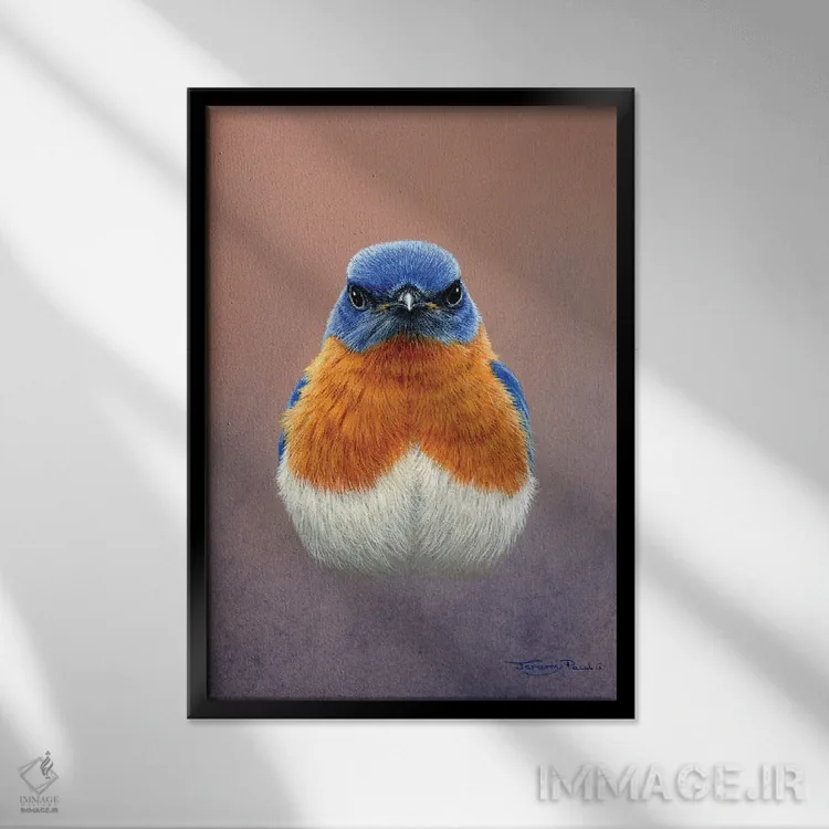 تابلو دکوراتیو پرنده آبی اثر جرمی پاول - نمای قابدار مشکی