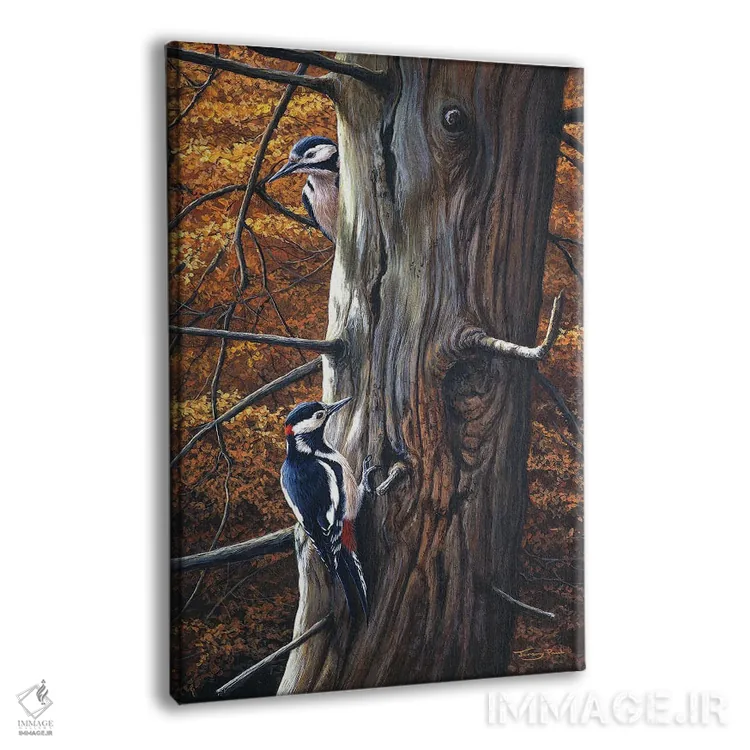 تابلو دکوراتیو دارکوب خال دار بزرگ اثر جرمی پاول - نمای پرسپکتیو محصول