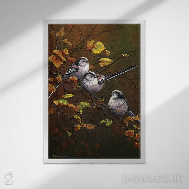 تابلو دکوراتیو چرخ ریسک های دم دراز اثر جرمی پاول - نمای قابدار سفید