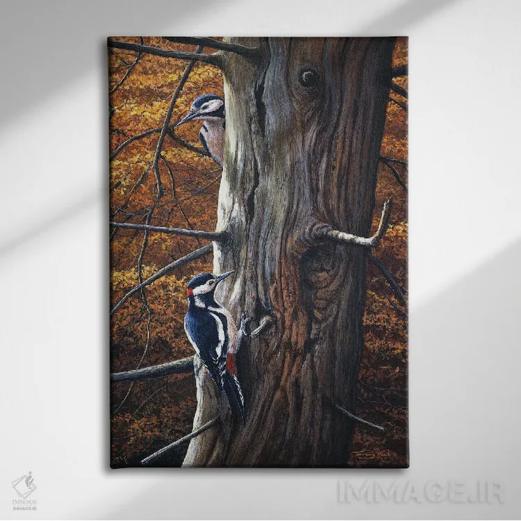 تابلو دکوراتیو دارکوب خال دار بزرگ اثر جرمی پاول - نمای روبهرو روی دیوار