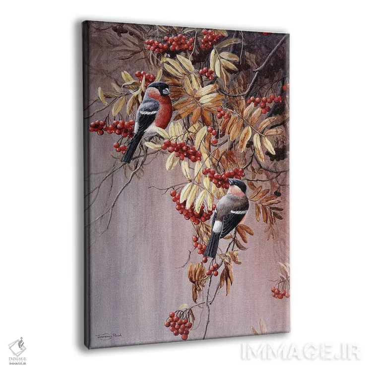 تابلو دکوراتیو فنچ بول اثر جرمی پاول - نمای پرسپکتیو محصول