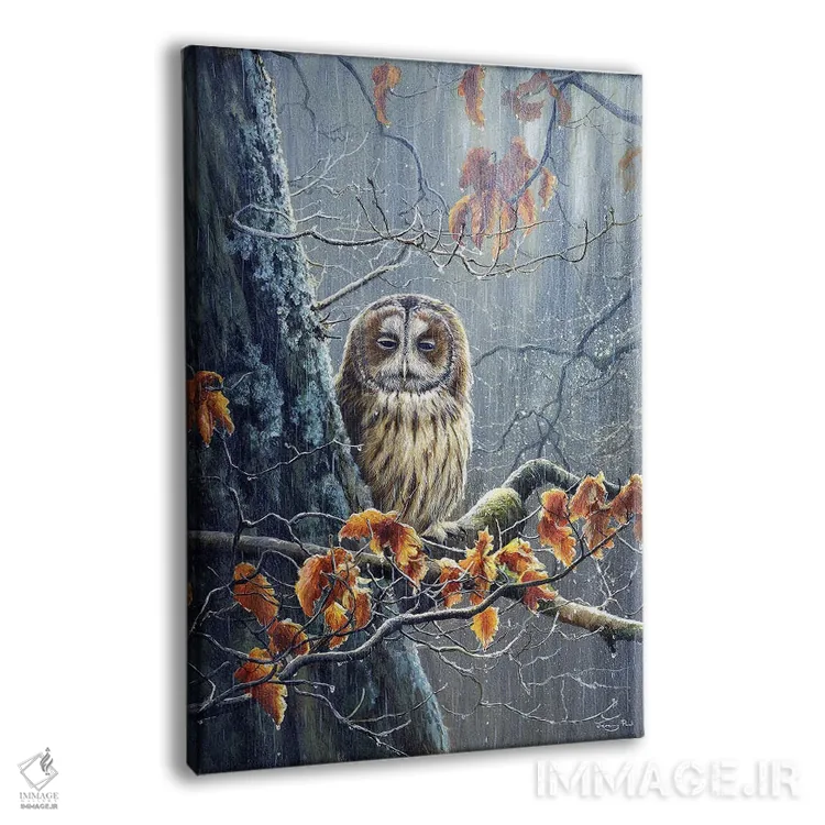 تابلو دکوراتیو آفتاب و رگبار اثر جرمی پاول - نمای پرسپکتیو محصول