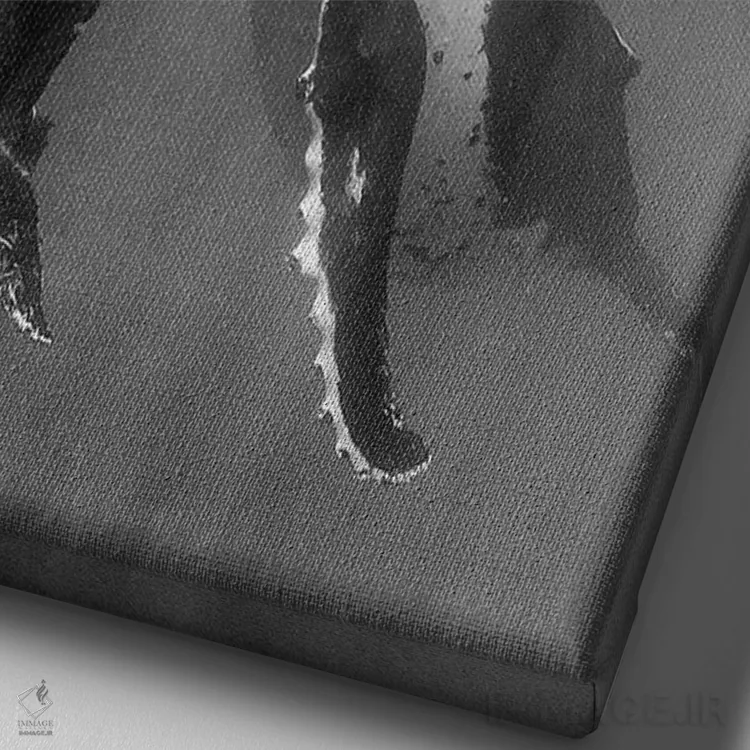 تابلو دکوراتیو Tonga. Mother and Calf, Humpback Whales,جزایر اقیانوس آرام… اثر جودیت زیمرمن - نمای نزدیک بافت بوم