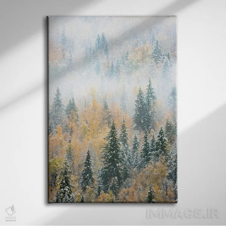 تابلو دکوراتیو Canada. Early morning fog in a mixed tree forest, Wells Gr… اثر جودیت زیمرمن - نمای روبهرو روی دیوار