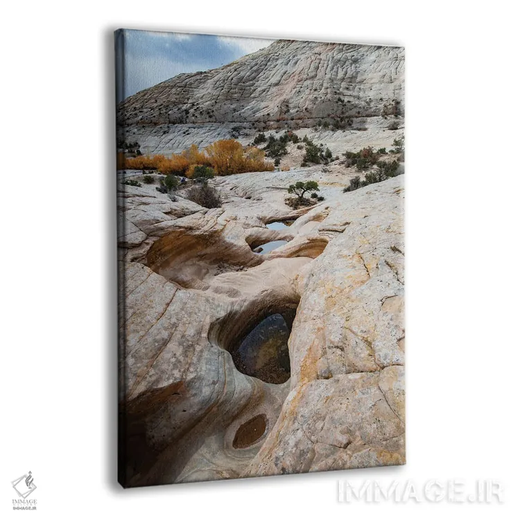 تابلو دکوراتیو Utah. Waterpockets and autumnal cottonwood trees, Grand St… اثر جودیت زیمرمن - نمای پرسپکتیو محصول
