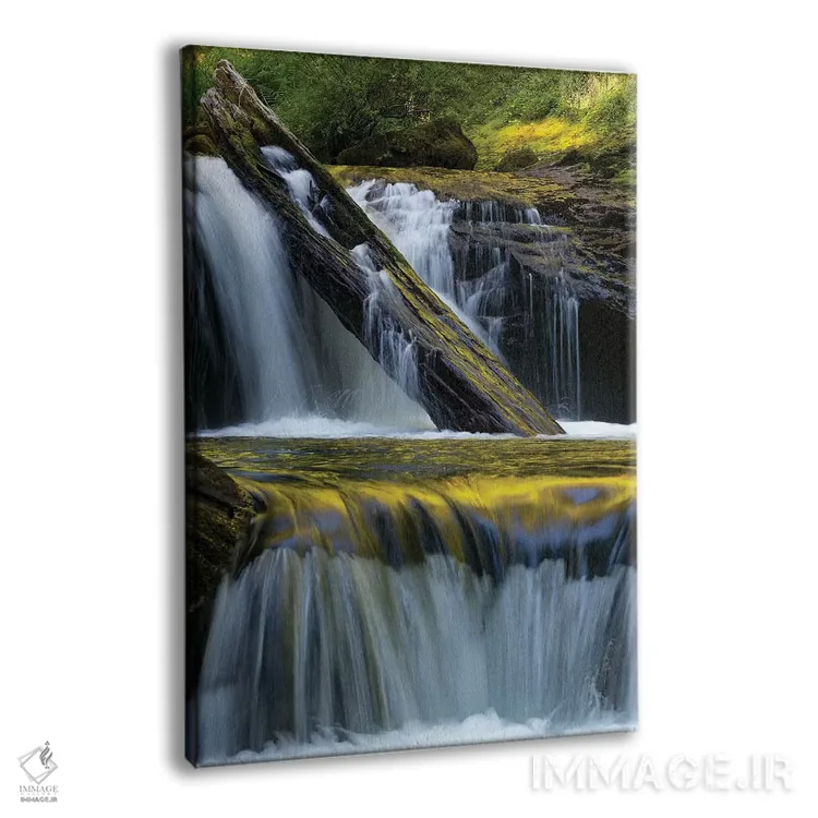 تابلو دکوراتیو Siuslaw National Forest,ایالات متحده. برگ افتاده و بازتاب… اثر جودیت زیمرمن - نمای پرسپکتیو محصول