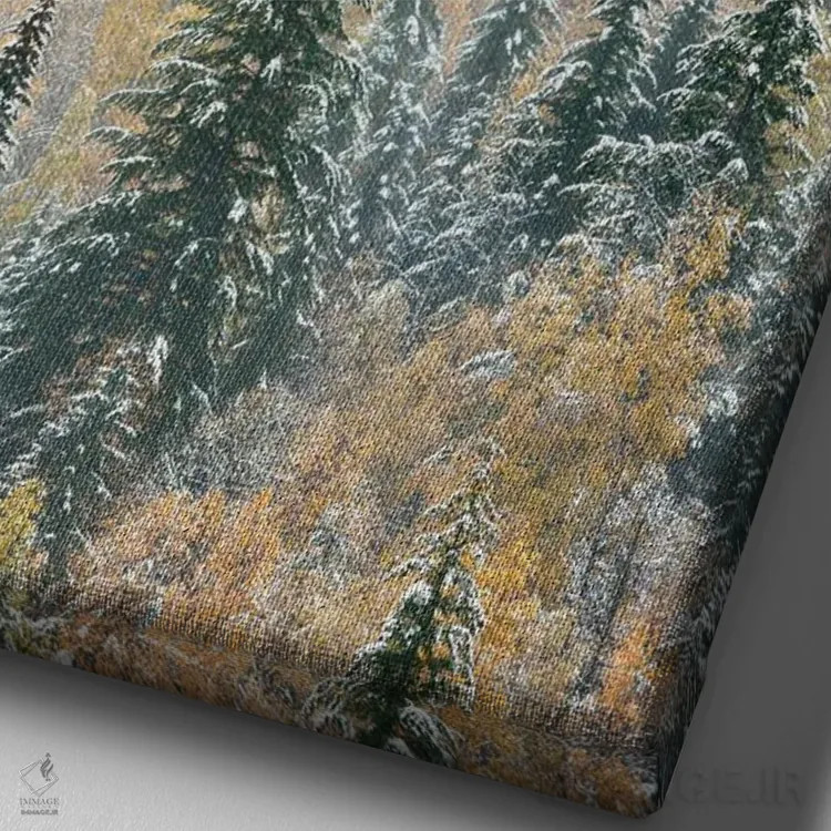 تابلو دکوراتیو Canada. Early morning fog in a mixed tree forest, Wells Gr… اثر جودیت زیمرمن - نمای نزدیک بافت بوم