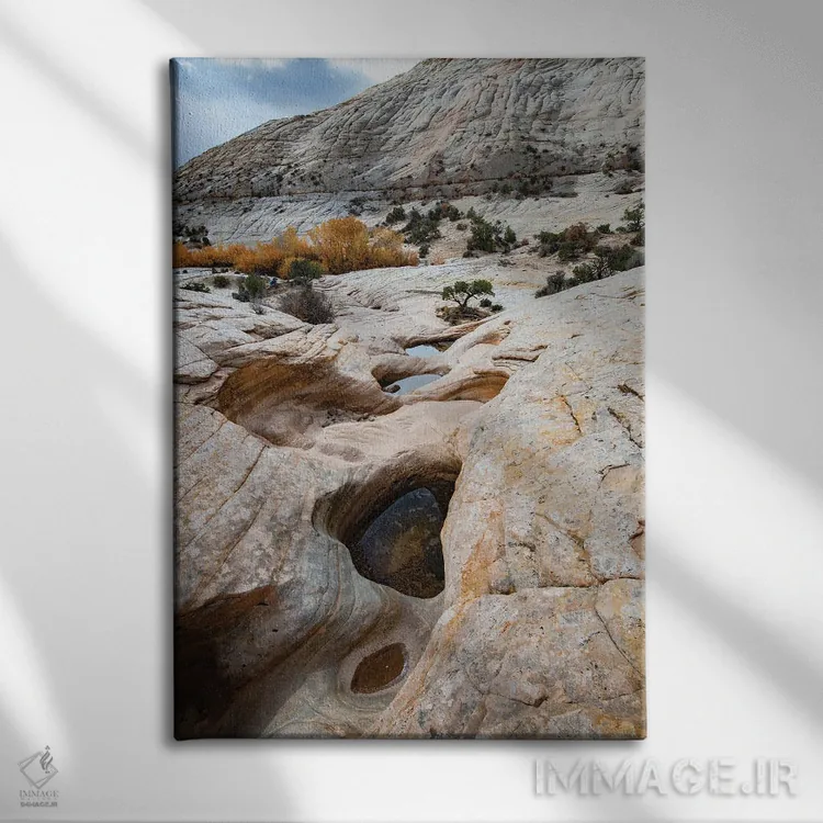 تابلو دکوراتیو Utah. Waterpockets and autumnal cottonwood trees, Grand St… اثر جودیت زیمرمن - نمای روبهرو روی دیوار