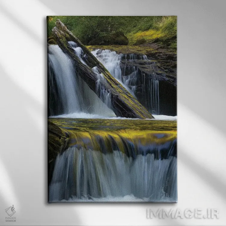 تابلو دکوراتیو Siuslaw National Forest,ایالات متحده. برگ افتاده و بازتاب… اثر جودیت زیمرمن - نمای روبهرو روی دیوار